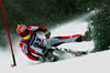 MOSER Markus